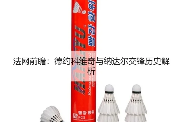 法网前瞻：德约科维奇与纳达尔交锋历史解析